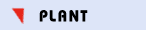 Plant Plant